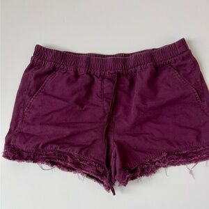 Loft Women's Purple Casual Shorts